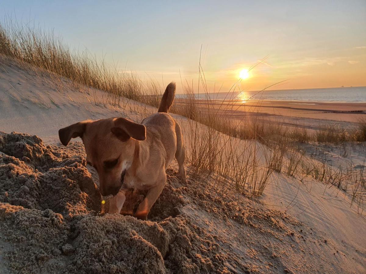 Bonnies Beach & Spa Duinnest Cadzand Esterno foto